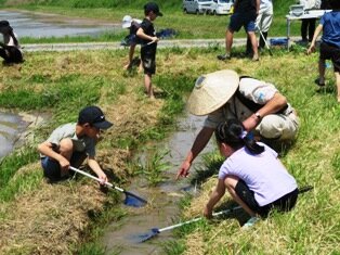 子どもたちは生きもの調査にも挑戦しました