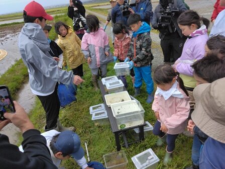 生きもの調査に子どもたちは興味津々