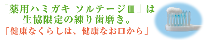 再生紙100％、無漂白でやさしいブラウンカラーの芯なしトイレットペーパーです