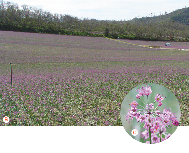 肥料の管理の様子