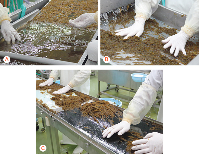 原料受け入れ・洗浄・異物除去の様子